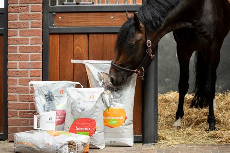 Voedingsstoffen voor spieropbouw paard