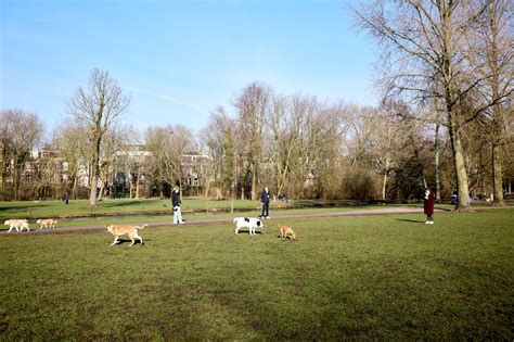 Groepstraining in het park