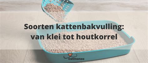 Infographic over het correct weggooien van kattenbakvulling