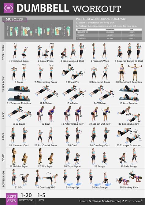 Diverse bodybuilding oefeningen met barbells en dumbbells
