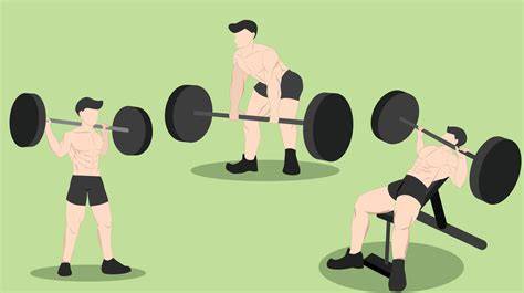 Illustratie van de vijf basisoefeningen: Squat, Deadlift, Bench Press, Overhead Press, Barbell Row