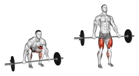 Vergelijking van de verschillende deadlift varianten