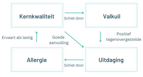 Grafische weergave van kernkwaliteiten en hun relatie tot valkuilen, uitdagingen en allergieën