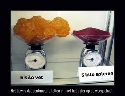 Vergelijking van een kilo vet en een kilo spier