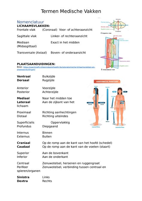 Overzicht van lichaamsdelen waarvoor echografie nuttig kan zijn