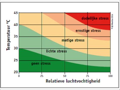 Grafiek die de relatie tussen training, voeding en welzijn illustreert