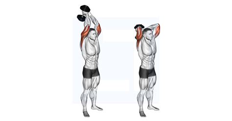 Schema met de correcte uitvoering van de overhead triceps extension.