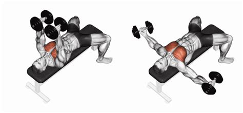 Uitvoering van de Dumbbell Fly