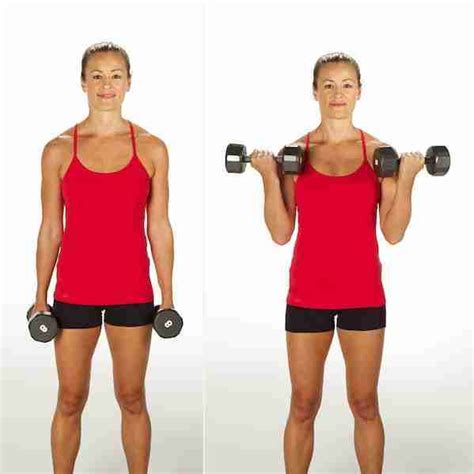 Bicep curls met dumbbells