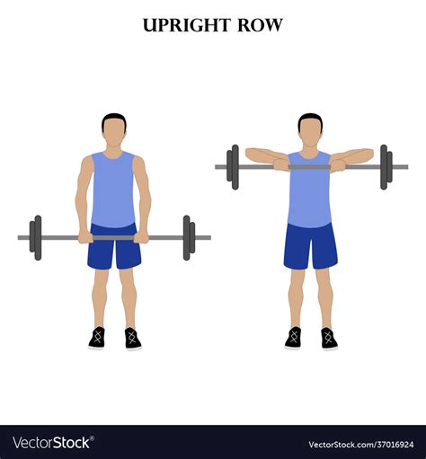 Schema van de upright row oefening