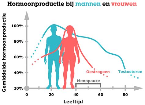Schema van de hormonale feedbackloop tussen buikvet, testosteron en oestrogeen