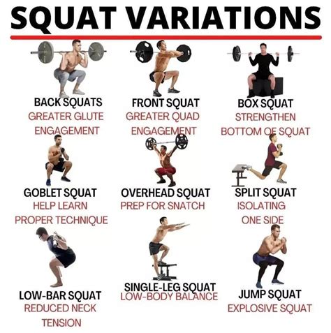 Infographic met de verschillende soorten squat racks