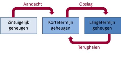 Vergelijking van traditioneel geheugen en digitaal geheugen