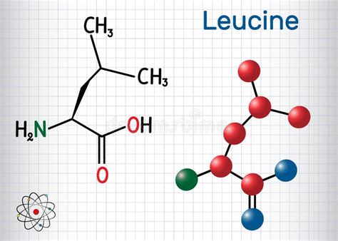 Structuur van het Leucine molecuul
