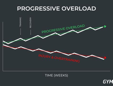Illustratie van spiergroei door progressieve overload