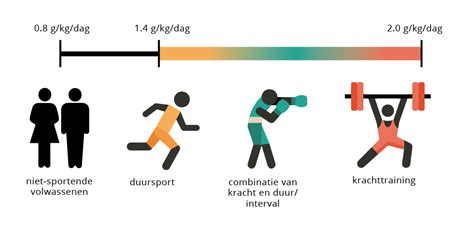 Grafiek met de dagelijkse eiwitbehoefte per kilogram lichaamsgewicht