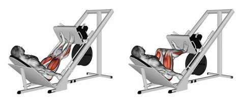 Een persoon die een leg press uitvoert met correcte vorm.
