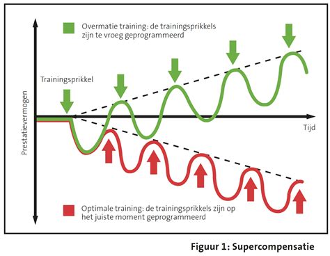 Grafiek die de relatie tussen spiergroei, kracht en herstel weergeeft