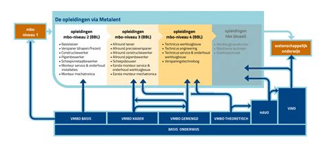 Schema met de verschillende opleidingen en ervaringen van Anita Groeneveld