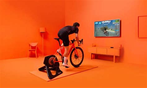 Verschillende types fietstrainers
