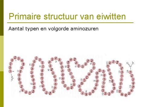 Structuur van eiwitten en aminozuren