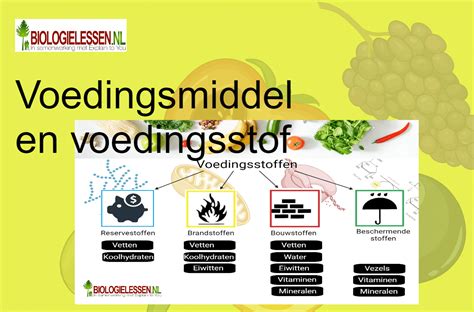 Grafiek die het verschil in calorieën toont tussen eiwitshakes en andere voedingsmiddelen