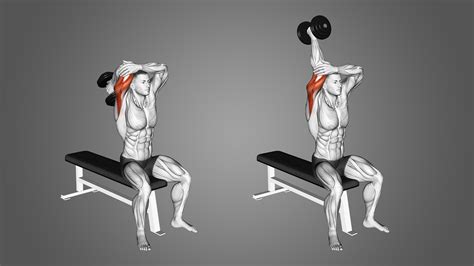 Correcte uitvoering van de dumbbell overhead triceps extension