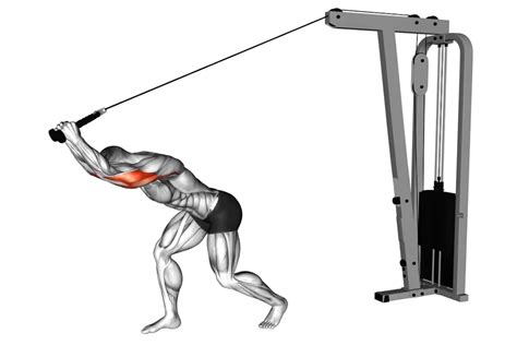 Overhead cable triceps extension met touw