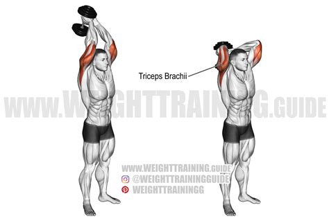 Man die thuis overhead triceps extensions doet met een dumbbell