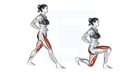 Schema met de beste oefeningen voor bilspiergroei: Hip Thrust, Squat, Romanian Deadlift, Lunge
