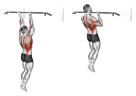 Uitleg van pull-ups en chin-ups