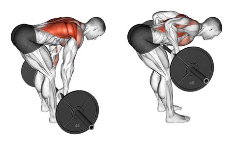 Uitleg van bent-over rows
