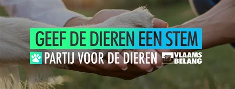 Diagram van de bewegingsvrijheid van de DAP