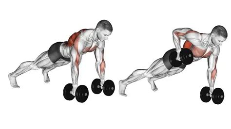 Renegade Row met Dumbbells