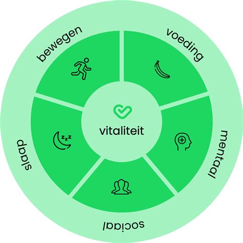 Schema van de 6 pijlers van vitaliteit