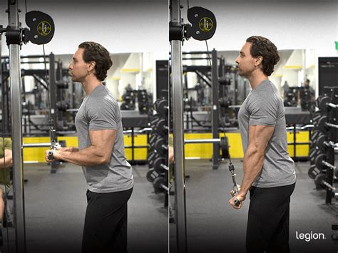 Grafiek tempo triceps pushdown