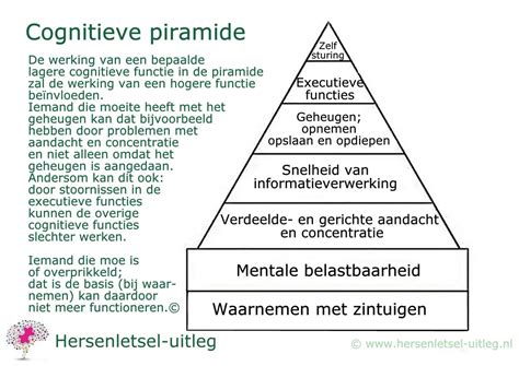Schema van cognitieve processen