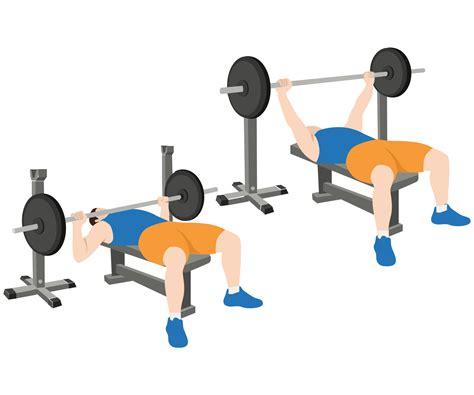 Diagram van de correcte bench press techniek