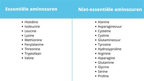 Overzicht van essentiële, semi-essentiële en niet-essentiële aminozuren