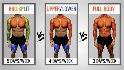 Schema voor split training vs full body workout