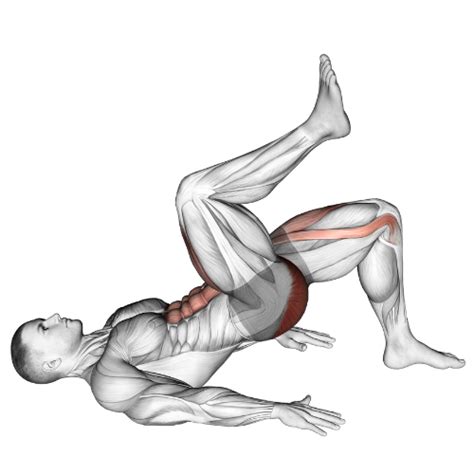 vrouw die glute hamstring march uitvoert