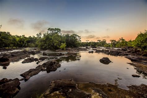 Surinaamse natuur met rivier en jungle