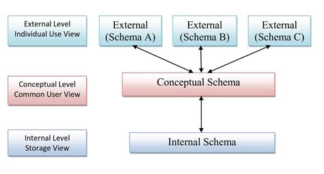 Lichaamsrecompositie schema