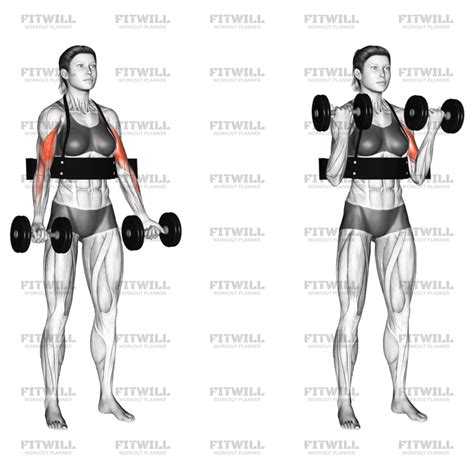 Verschillende soorten dumbbell curls