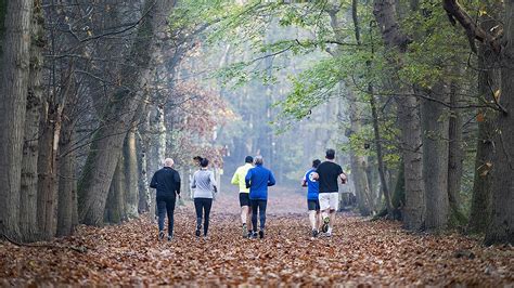 Mensen die wandelen en hardlopen