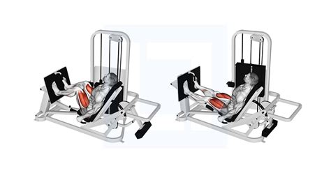 Leg press voetpositie variaties