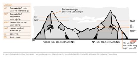 Visuele weergave van een gezonde maaltijd voor spieropbouw