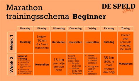 schema van een bootcamp training