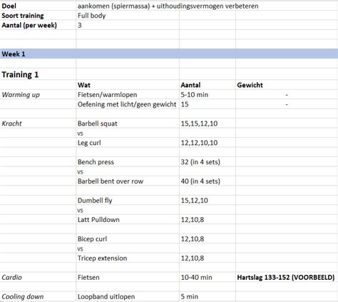 Voorbeeld van een trainingsschema