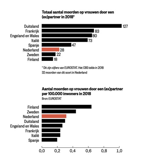 Infographic met statistieken over femicide in Nederland